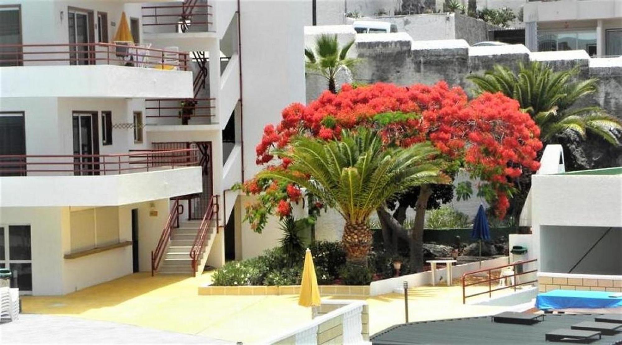 Apartamento Sol & Arena Puerto de Santiago  Exterior foto